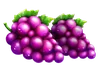 Basket Bounty -rypälesymboli