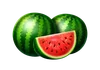 Basket Bounty Vesimelonisymboli